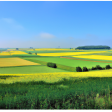 Syndics de copropriété dans le département Seine-Maritime (Normandie)
