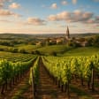 Syndics de copropriété à LA LANDE DE FRONSAC (33240)