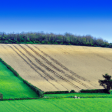 Syndics de copropriété dans le département Haute-Marne (Grand Est)
