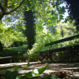 Syndics de copropriété à IRIGNY (69540)