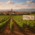 Syndics de copropriété à RIVESALTES (66600)