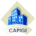 Logo de CAPIGI