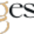 Logo de CABINET SYNGESTONE, syndic de copropriété à NICE
