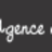 Logo de AGENCE DESGLAND NICOLAS IMMOBILIER, syndic de copropriété à STE MARIE