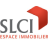 Logo de REGIE SIMONNEAU, syndic de copropriété à LYON 06