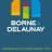 Logo de BORNE & DELAUNAY, syndic de copropriété à NICE