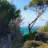 Logo de PORQUEROLLES IMMOBILIER, syndic de copropriété à HYERES
