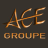 Logo de ACE GESTION, syndic de copropriété à NICE