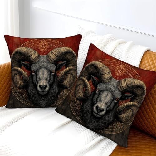 Vue 3 de Belier Zodiac Symbol Taie