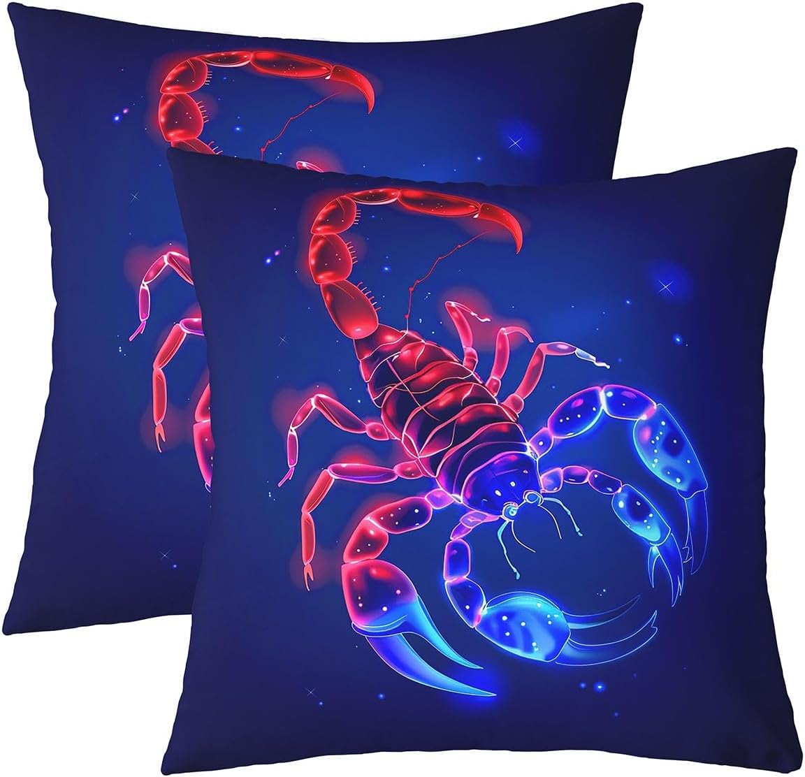 Lot De Scorpion Housse