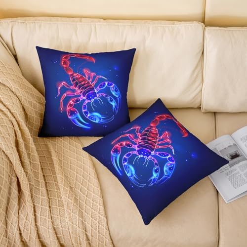 Vue 2 de Lot De Scorpion Housse