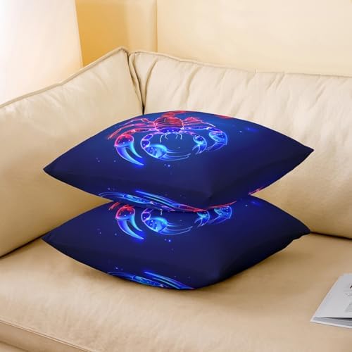 Vue 3 de Lot De Scorpion Housse