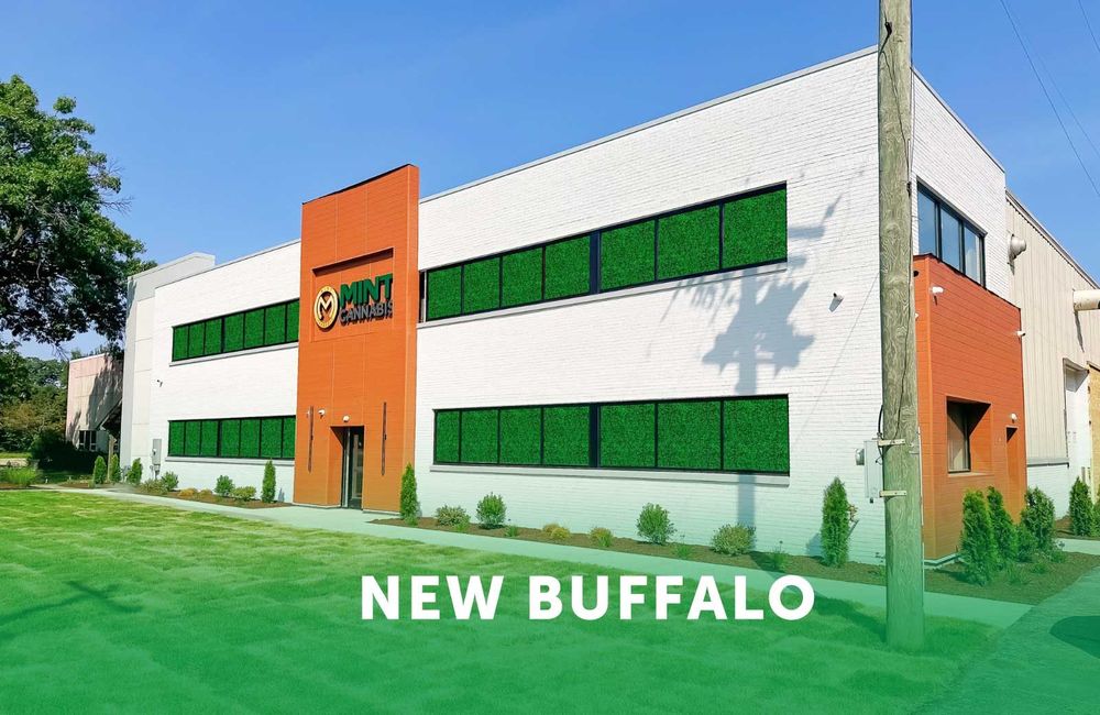Mint New Buffalo MI