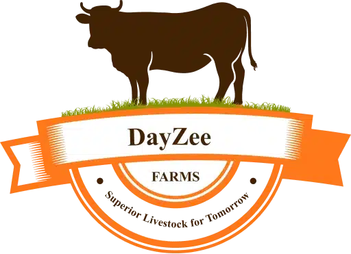 DayZee