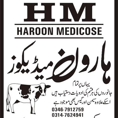 Haroon Medicose khanewal