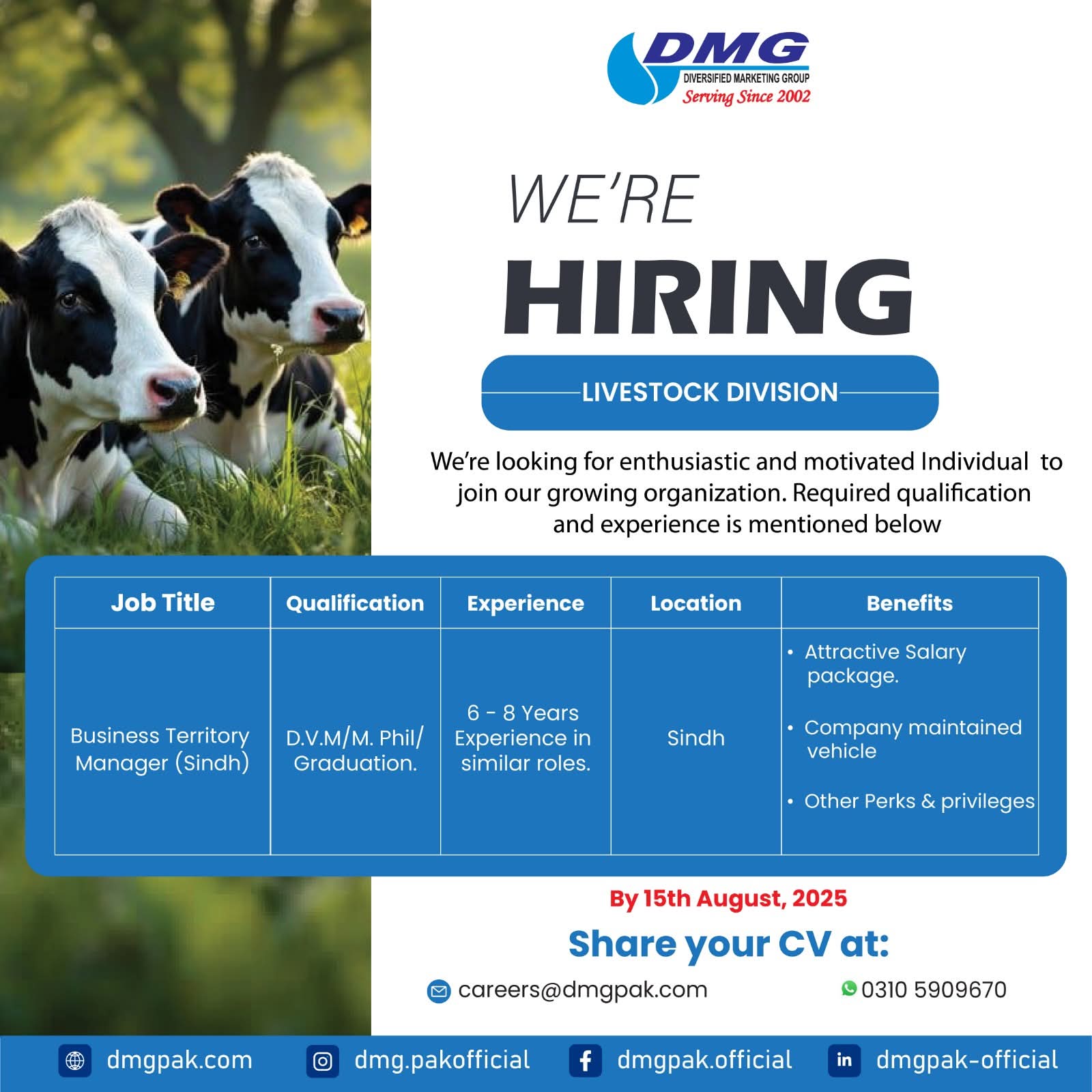 Business Territory Manager (Sindh)