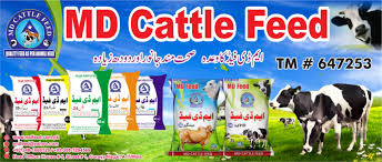 MD Cattle Feed