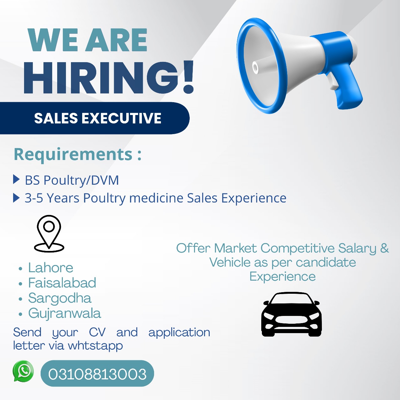 Join Our Winning Team as a Sales Executive!