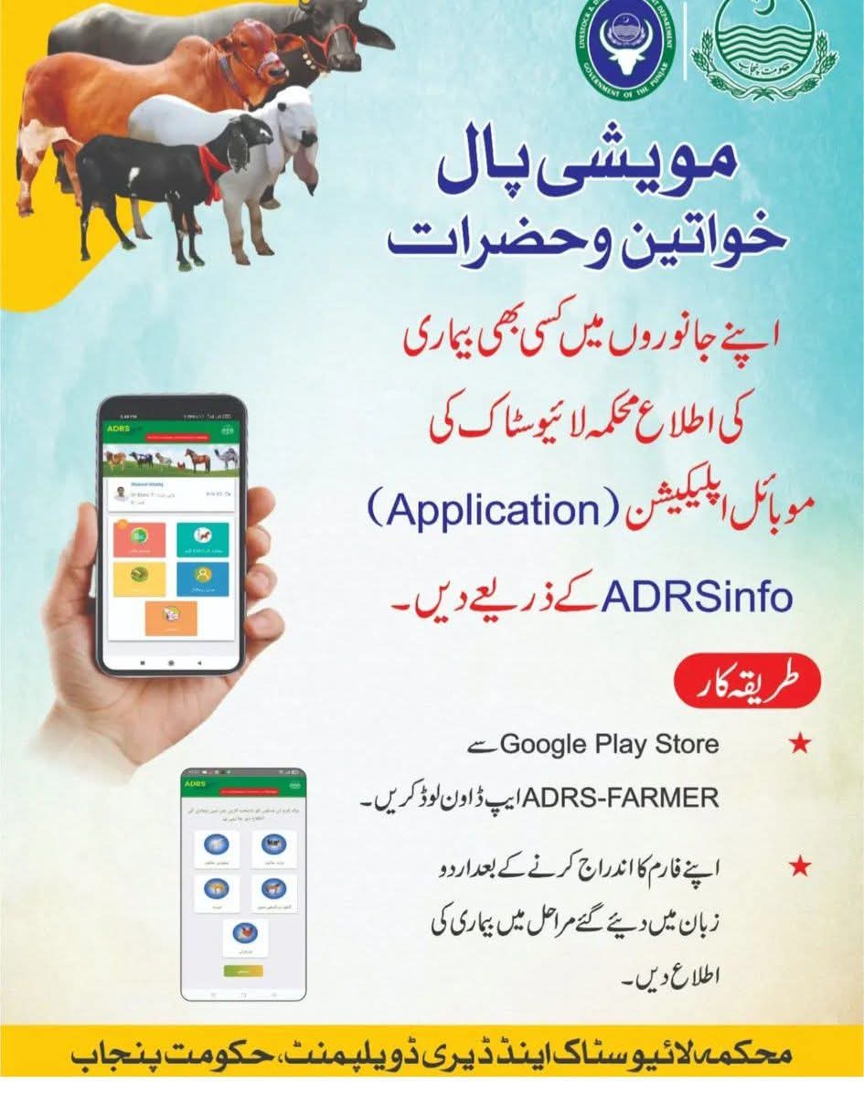 موبائل ایپلیکیشن