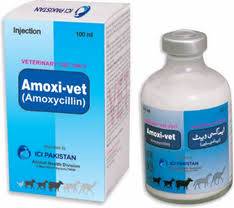 Amoxivet Inj. 100 ml