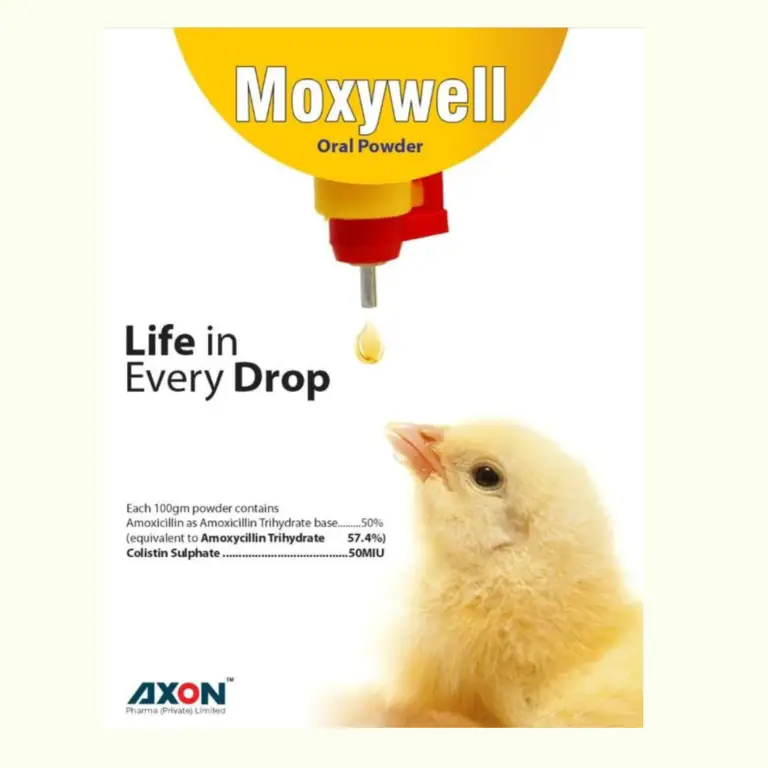 Moxywell Oral Powder