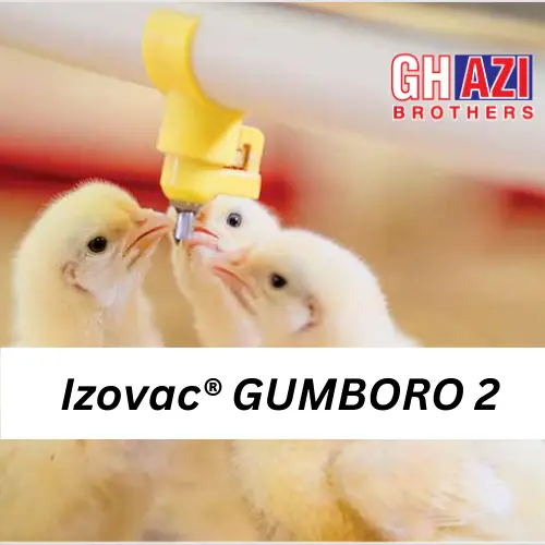 Izovac┬« GUMBORO 2