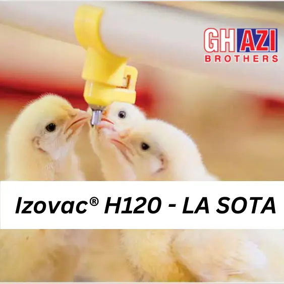 Izovac┬« H120 ΓÇô LA SOTA