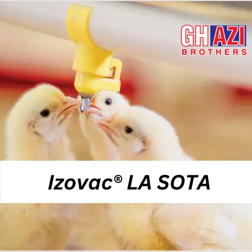 Izovac┬« LA SOTA
