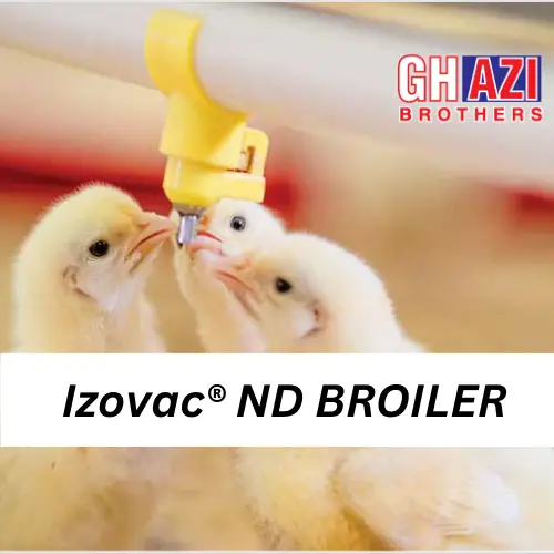 Izovac┬« ND BROILER