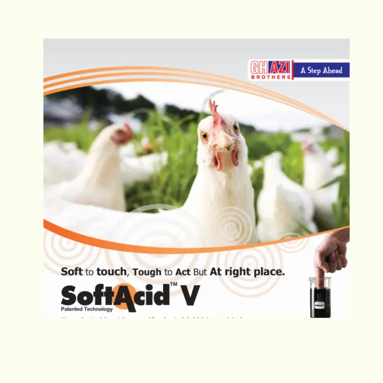 SofAcid V