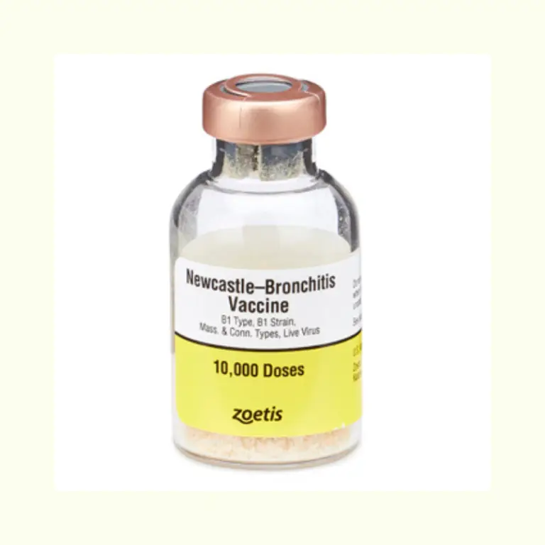 Newcastle B1 + Bronchitis Mass-Conn MODIFIED-LIVE FREEZE-DRIED VACCINE