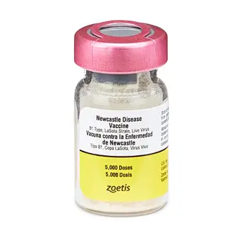 NEWCASTLE LASOTA MODIFIED-LIVE FREEZE-DRIED VACCINE