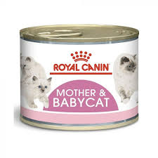 Royal Canin Mother and Baby Cat Food