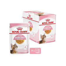 Royal Canin Wet Food for Cats ΓÇô Kitten / Jelly