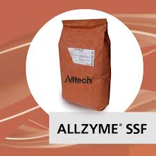 Allzyme SSF