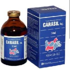 Carasil