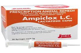 Ampiclox Lc