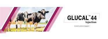 Glucal 44 ΘêÑ∩┐╜100ml Inj