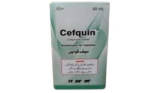 Cefquin
