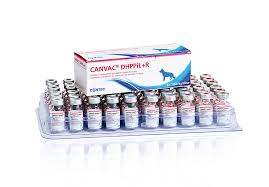 Canvac R Injection 10 ml