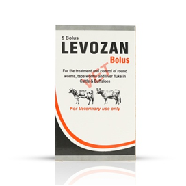 Levozan Bolus