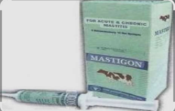 Mastigon Intramammary Tube