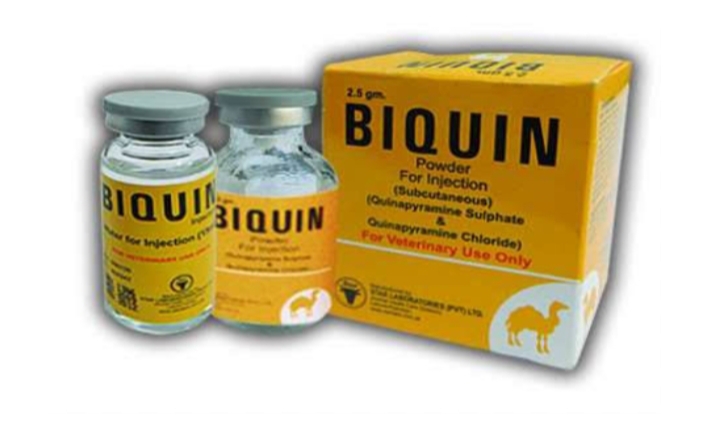 Biquin Injection 2.5 gm