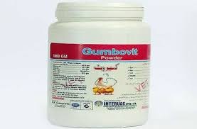 Gumbovit Powder.