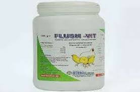 Flushvit Oral Powder
