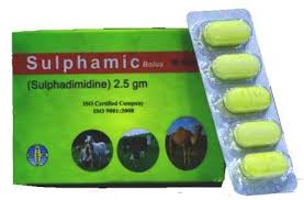 SULPHAMIC BOLUS