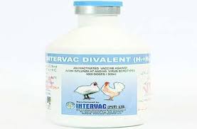 INTERVAC-H7+H9