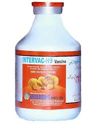 INTERVAC-H7+H9   OIL BASE