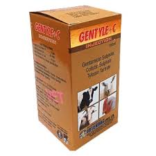 GENTYL+C INJECTION