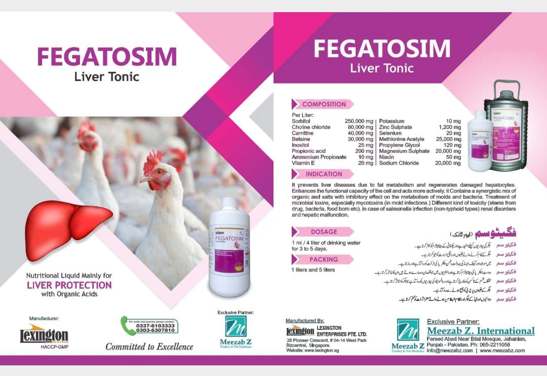 FEGATOSIM  Liver Tonic 